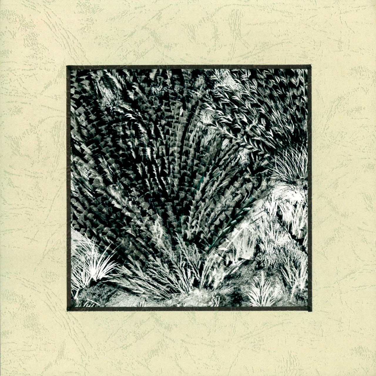 AP-2500110 - Scratch Painting