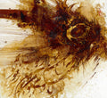 MPC-2500129 –  Abstract Painting