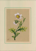 PM-2500124 – Painting – Gol-o-Morgh (Floral Illustration)