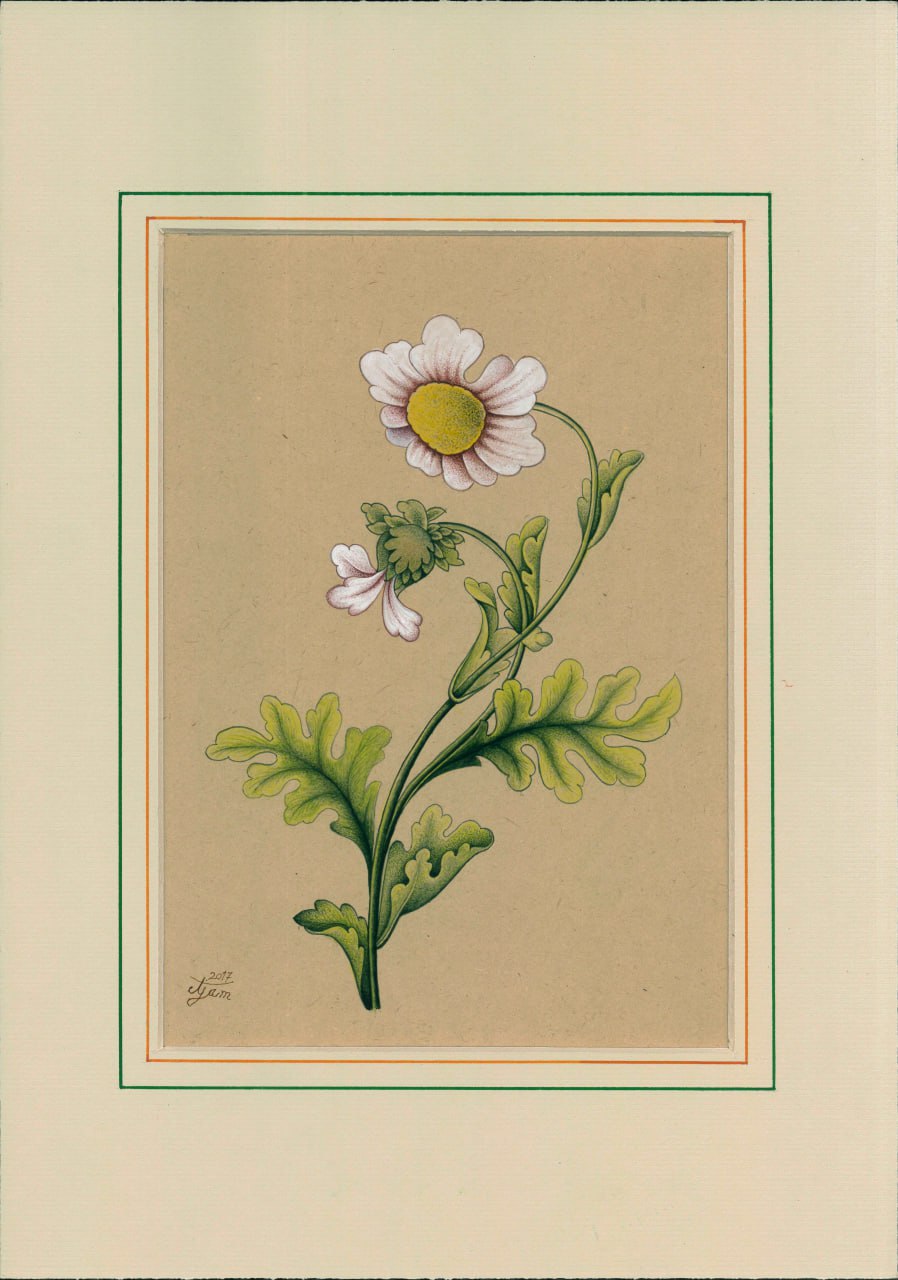 PM-2500124 – Painting – Gol-o-Morgh (Floral Illustration)