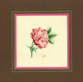 PM-2500125 – Painting – Gol-o-Morgh (Floral Illustration)