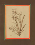 PM-2500125 – Painting – Gol-o-Morgh (Floral Illustration)